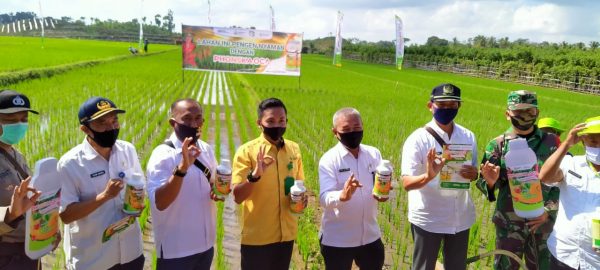 Petrokimia Gresik Bersama Pertanian Banyuwangi Semprot Massal Budidaya Padi