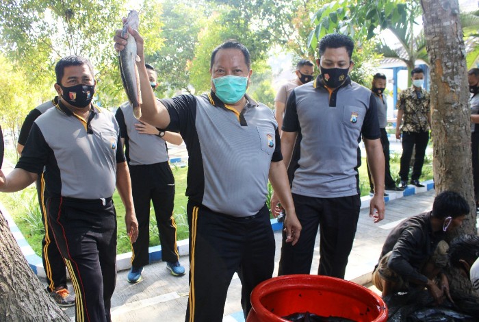 Bangkitkan Ketahanan Pangan, Kapolres Bangkalan Panen 5000 Ikan Lele