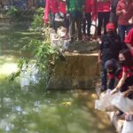 IMG_20022022_124529_(700_x_428_piksel)