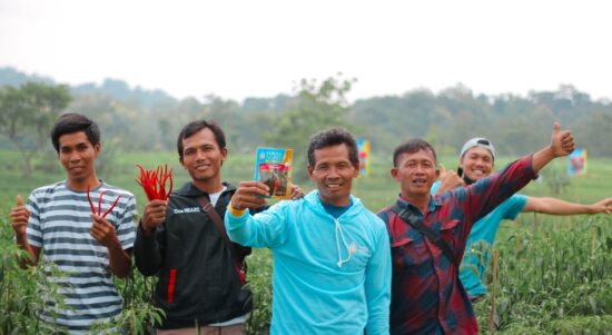 Para Petani menujukkan hasil panen cabai keriting Jacko 99