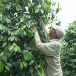 WhatsApp Image 2022-12-18 at 08.30.44