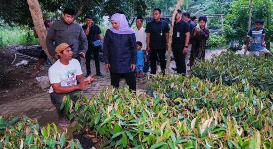 Dukung Petani Durian Ripto, Khofifah Usulkan Akses Modal dan Grace Period