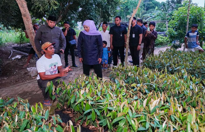 Dukung Petani Durian Ripto, Khofifah Usulkan Akses Modal dan Grace Period