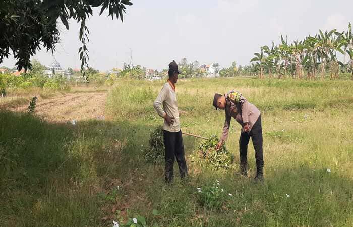 Polsek  Tikung Gencarkan Program P2B, Dorong Ketahanan Pangan Warga Lamongan