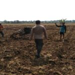 Polsek Tikung Wujudkan Ketahanan Pangan Lewat Program P2B di Lamongan