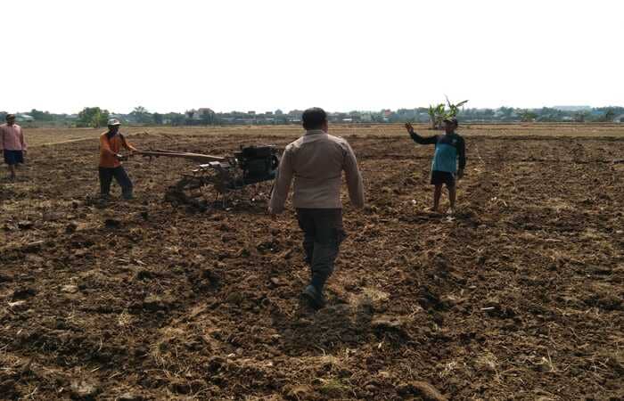 Polsek Tikung Wujudkan Ketahanan Pangan Lewat Program P2B di Lamongan