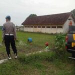 Polisi memantau pertumbuhan padi di lahan P2B Kecamatan Tikung